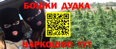 гашик Гатчина