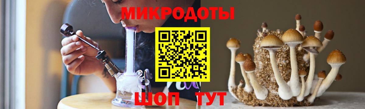 Псилоцибиновые грибы мицелий Кириши